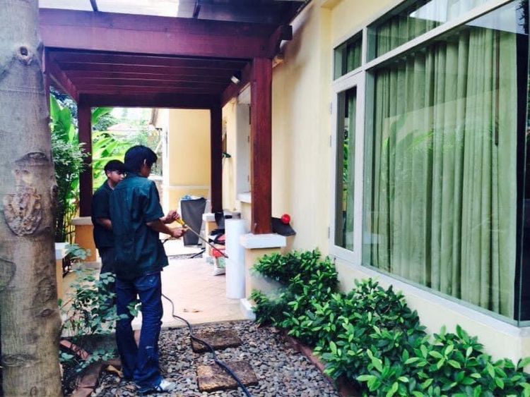 กำจัดปลวดมดแมลงQueenpestcontrolservice  รูปที่ 7