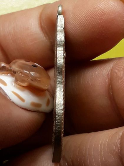 เหรียญหลวงพ่อขัน วัดนกกระจาบ รูปที่ 3