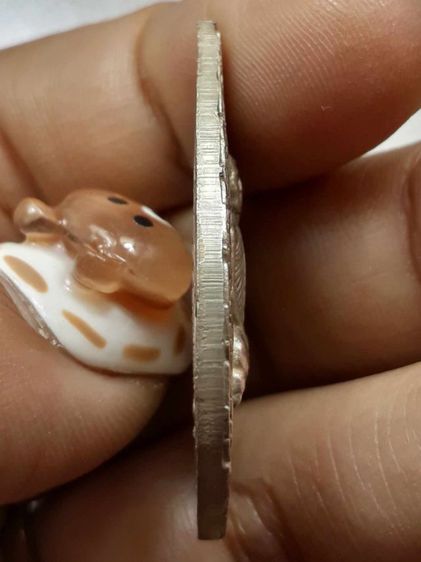 เหรียญพัดยศหลวงปู่โต๊ะ วัดประดู่ฉิมพลี รูปที่ 4