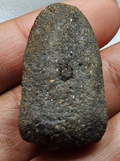 เหรียญหลวงปู่ทวดเนื้อว่าน องค์ละ 500 บาท รูปที่ 7