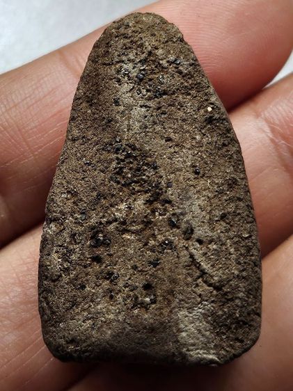 เหรียญหลวงปู่ทวดเนื้อว่าน องค์ละ 500 บาท รูปที่ 3