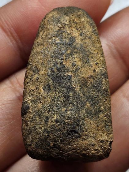 เหรียญหลวงปู่ทวดเนื้อว่าน องค์ละ 500 บาท รูปที่ 5