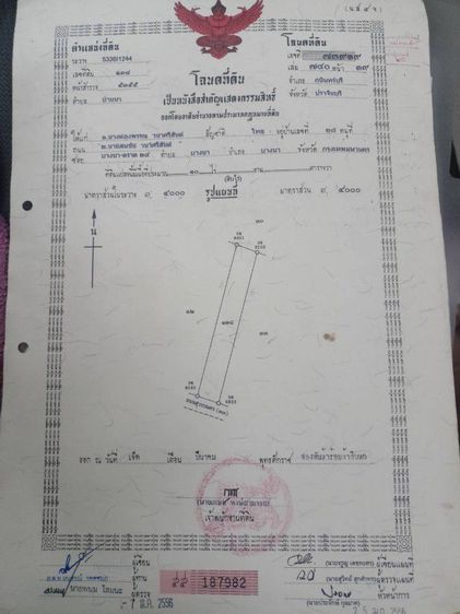ขายด่วนที่ดินโฉนดครุฑแดง 10 ไร่ รูปที่ 2