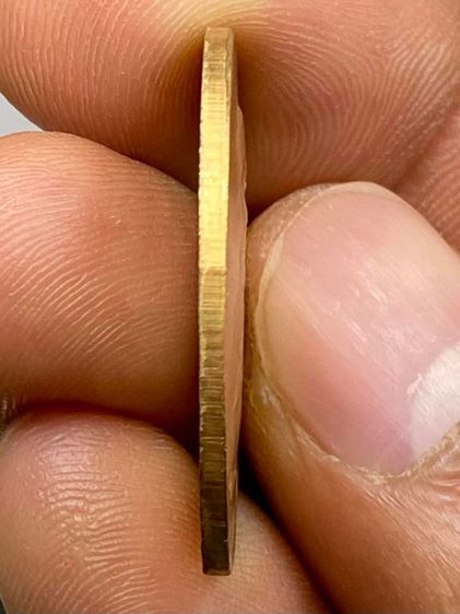 เหรียญหลวงปู่ฝั้น รุ่นสุดท้าย รูปที่ 4