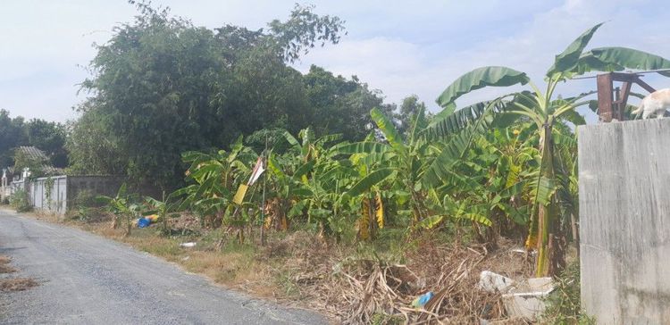 ขายที่ดิน 99 ตร.วา บางบัวทอง รูปที่ 3