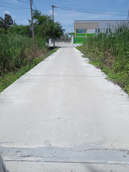 ที่ดินเปล่า 98 ตรว. โครงการจัดสรรทหารบก ซอย 7 ท่าตำหนัก กว้าง 12 x 30 เมตร รูปที่ 2