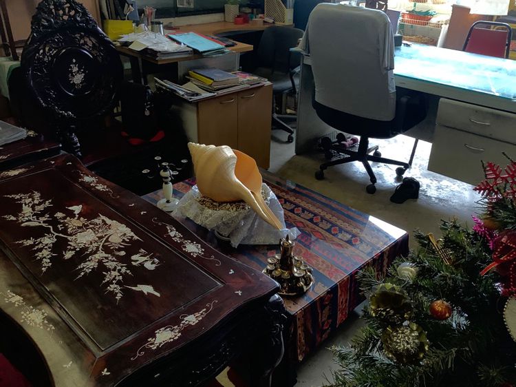 เปลือกหอยยักษ์ รูปที่ 3