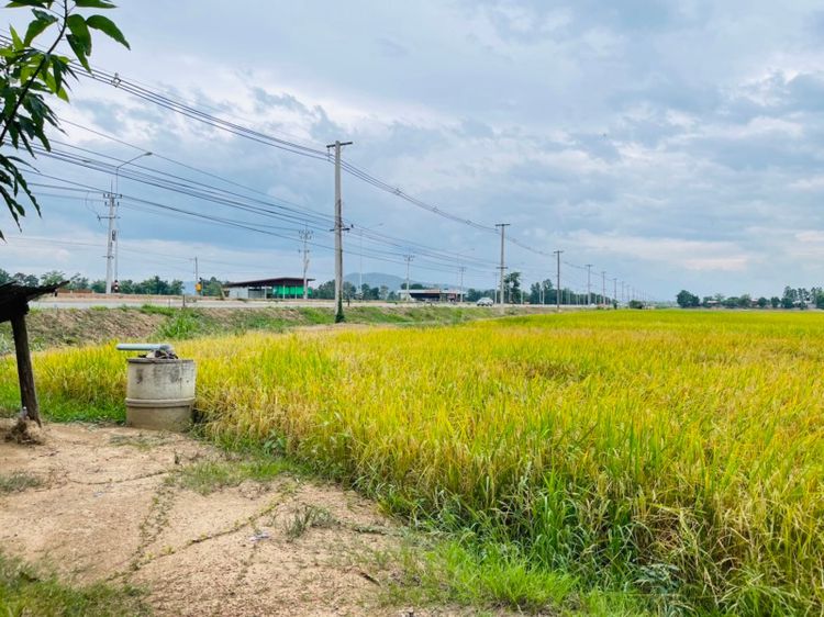 ที่ดินเปล่า 9ไร่ 2งาน 99ตารางวา ติดถนน 4เลน สวรรคโลก-ทุ่งเสลี่ยม รูปที่ 4