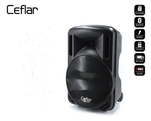 ลำโพง  Ceflar 12 นิ้ว รูปที่ 2