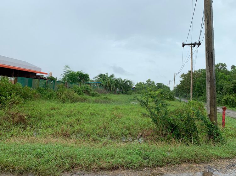 ที่ดินเปล่า 390 ตร.วา ต.ท่าทองใหม่ อ.กาญจนดิษฐ์ สุราษฎร์ธานี รูปที่ 2