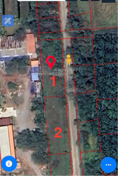 ที่ดินเปล่า 390 ตร.วา ต.ท่าทองใหม่ อ.กาญจนดิษฐ์ สุราษฎร์ธานี รูปที่ 4