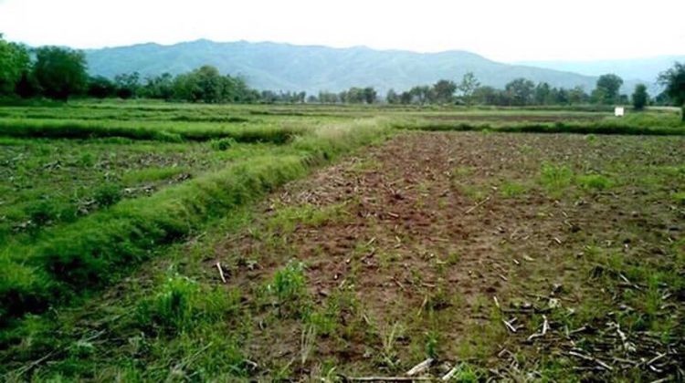 ขายที่เพชรบูรณบ้านโตกติดถนนปูน2ด้านราคาถูก