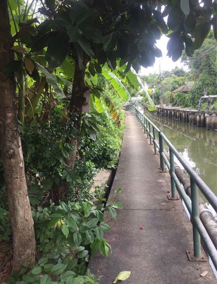 ขายบ้านสวน พร้อมที่ดินติดคลองบางระมาด  รูปที่ 4