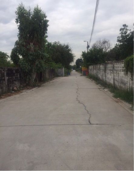 ขายบ้านสวน พร้อมที่ดินติดคลองบางระมาด  รูปที่ 2