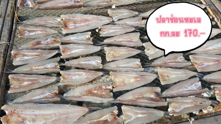 ปลาเค็ม รูปที่ 2