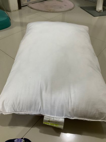 หมอนหนุนสุญญากาศ Lotus รุ่น Health Vacuum Pillow นน 1.2 กก รูปที่ 2