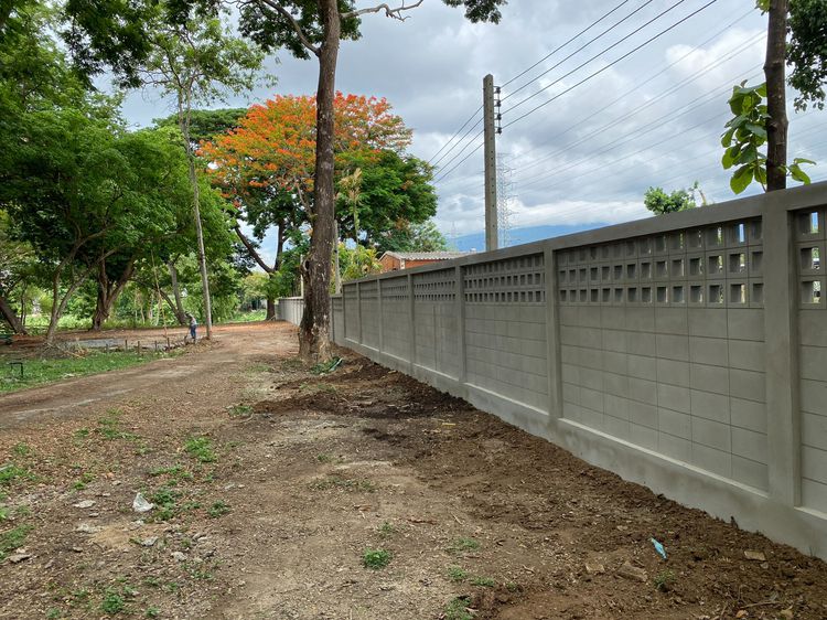 ขายที่ดินสวยติดเเม่น้ำปิง ฟ้าฮ่าม เชียงใหม่ ( ด่วน ปรับราคาใหม่ ) รูปที่ 4