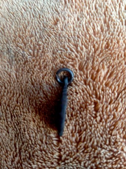 หลวงปู่แหวน รูปที่ 5