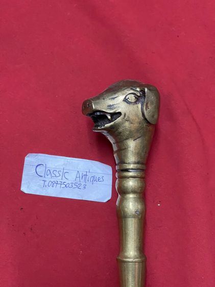 ไม้เท้า หัวหมูทองเหลือง รูปที่ 7