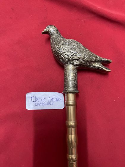 ไม้เท้า หัวนกทองเหลือง รูปที่ 5