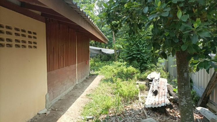 น้ำไม่เคยท่วม แต่มีน้ำใช้ตลอดปี ขายบ้านพร้อมที่ดิน ติดถนน จ.อ่างทอง ถนนหน้าบ้านติดคลองชลประทาน น้ำดี ไม่เคยน้ำท่วมเลยสักครั้ง เดินทางสะดวกสุดๆ เนื้อที่1ไร่56ตารางวา

 รูปที่ 3