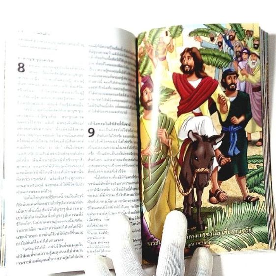 พระคริสตธรรมคัมภีร์ ประกอบภาพ รูปที่ 8