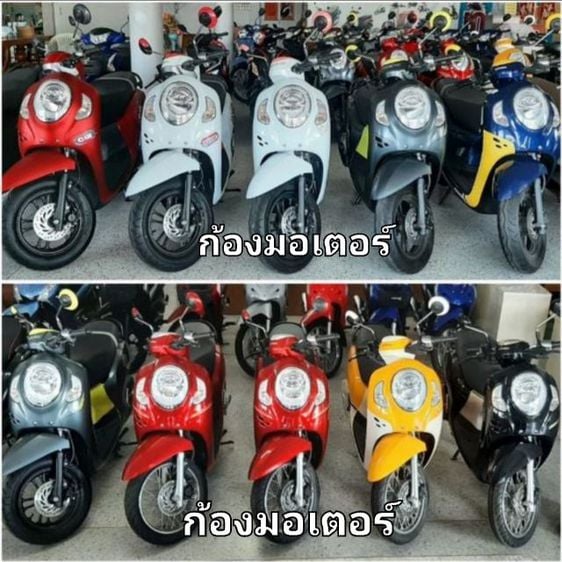scoooy i 2021-2022 รูปที่ 1