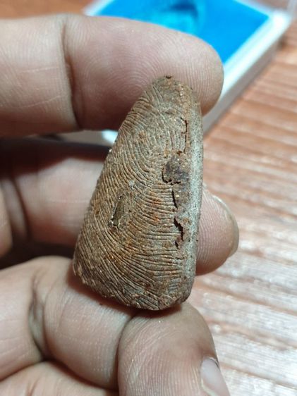 หลวงปู่ทวด พิมพ์ นั่งบัวใหญ่ หลังเม็ดข้าวสารหิน เนื้อว่านแดง รุ่นทูลเกล้า วัดห้วยมงคล ปี 47 พระดีปีลึก พิธีใหญ่ หายากแล้ว มี หลายองค์  รูปที่ 5