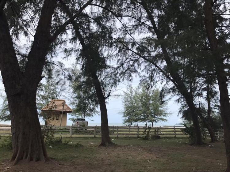 ที่ดินปลูกบ้านชายหาด จ.สงขลา