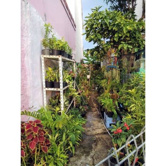 เตียงสระผม 1เตียง มือสองมีตำหนิแมวข่วน (ไม่รวมค่าจัดส่ง) รูปที่ 17