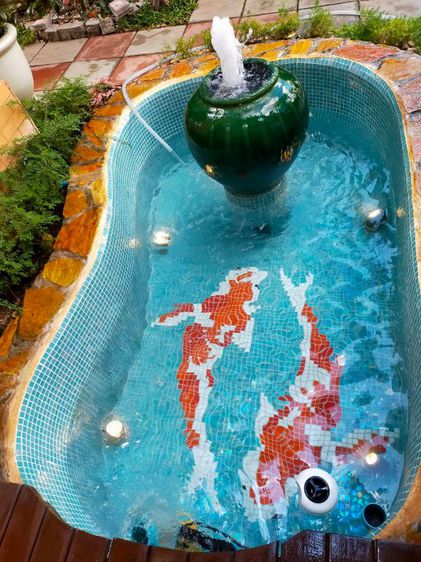 รับดูแลปลาคาร์ฟ,รักษาปลาป่วย,รับซ่อมบ่อรั่ว บ่อร้าว.รับแก้ระบบกรอง รูปที่ 12