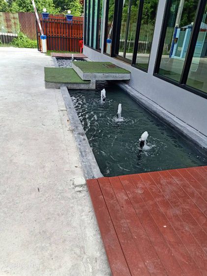 รับทำบ่อปลาคาร์ฟ.รับซ่อมบ่อรั่ว,บ่อร้าว,รับแก้ระบบกรอง รูปที่ 7