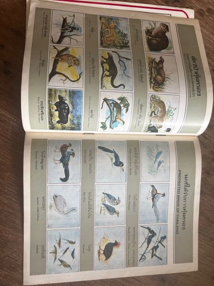 หนังสือแถมบาจาเก่า รูปที่ 4