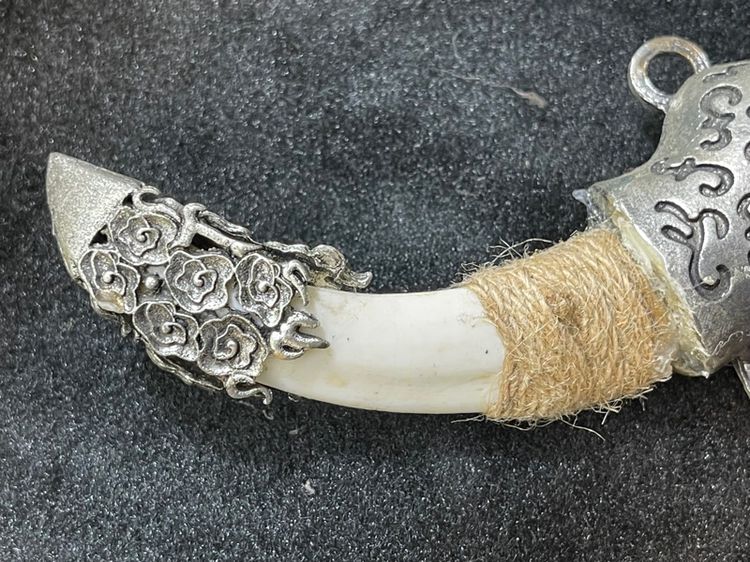 ของสะสมA1 รูปที่ 5