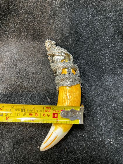 ของสะสมA2 รูปที่ 4