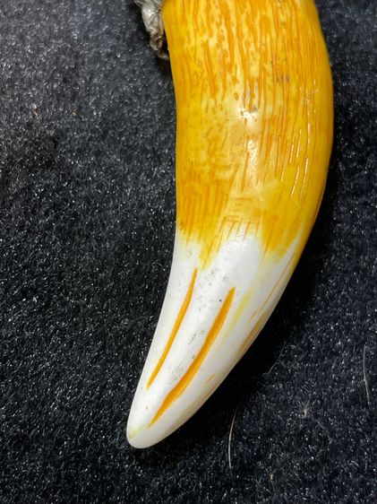 ของสะสมA2 รูปที่ 7