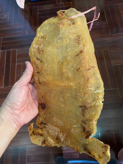 กระเพาะปลาโบราณเก็บจนเก่า  รูปที่ 3