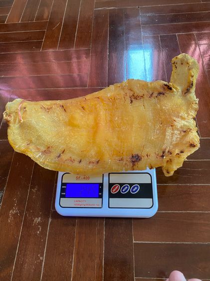 กระเพาะปลาโบราณเก็บจนเก่า  รูปที่ 4