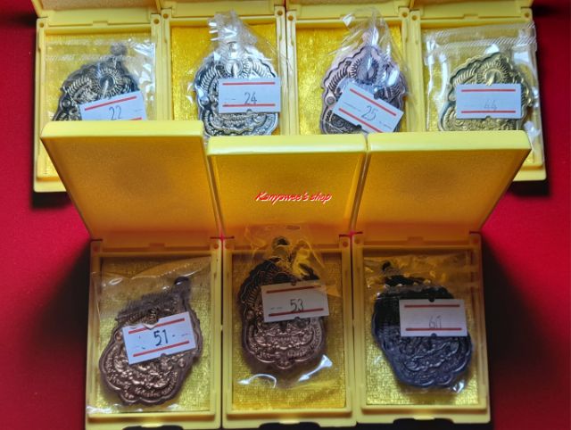 เหรียญเสมาพญาคชสีห์ หลวงพ่อพัฒน์ ปุญญกาโม ปี 2563 รูปที่ 9