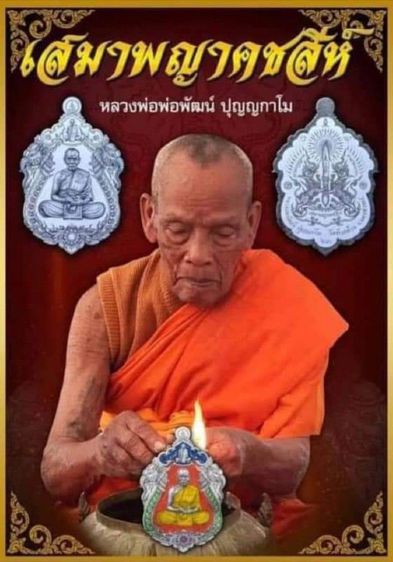 เหรียญเสมาพญาคชสีห์ หลวงพ่อพัฒน์ ปุญญกาโม ปี 2563 รูปที่ 15