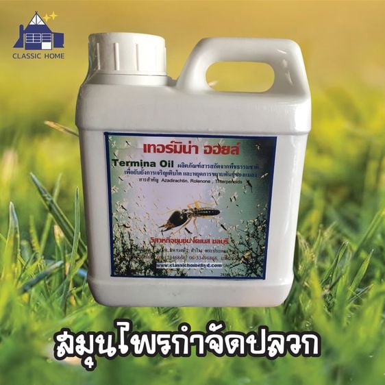 สมุนไพรกำจัดปลวก เทอร์มิน่า ออยล์ ผลิตภัณฑ์สารสกัดจากพืชธรรมชาติท้องถิ่นไทย เป็นแห่งแรกและหนึ่งเดียวในไทย