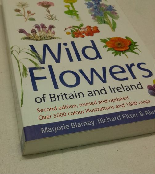 หนังสือ Wild Flowers Of Britain And Ireland
โดย   Marjorie Blamey รูปที่ 2