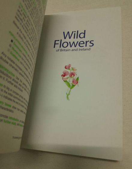 หนังสือ Wild Flowers Of Britain And Ireland
โดย   Marjorie Blamey รูปที่ 6
