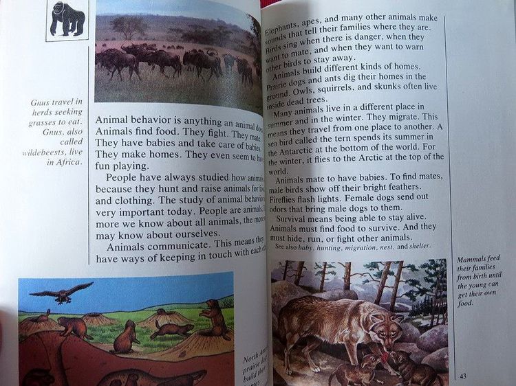 Disney's My First Encyclopedia หนังสือ สารานุกรม คุณหนูๆ หนังสือปกแข็ง ภาพสีสวยงาม  รูปที่ 15