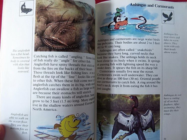 Disney's My First Encyclopedia หนังสือ สารานุกรม คุณหนูๆ หนังสือปกแข็ง ภาพสีสวยงาม  รูปที่ 14