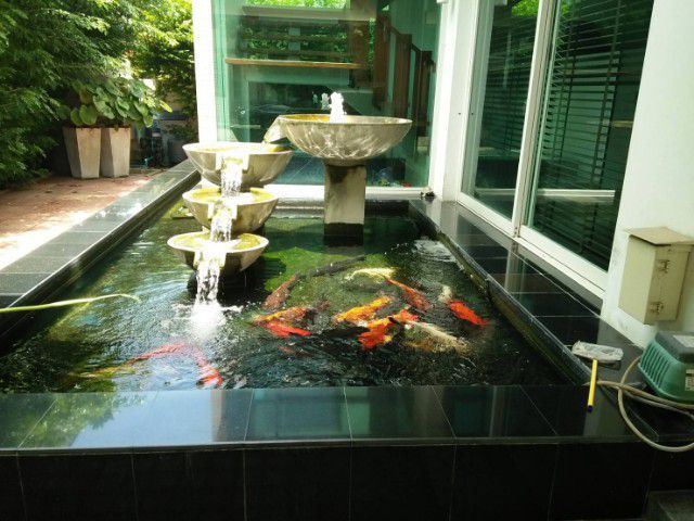 รับซ่อมบ่อรั่ว,บ่อร้าว,ทำบ่อปลาคาร์ฟแก้ระบบกรอง,ทำน้ำพุ รูปที่ 4