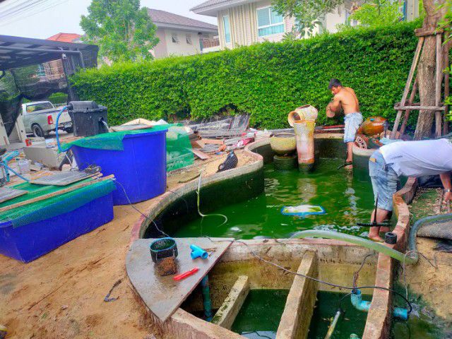 ทำบ่อปลาคาร์ฟ รับแก้ระบบกรอง รับซ่อมบ่อรั่ว บ่อร้าว รูปที่ 3