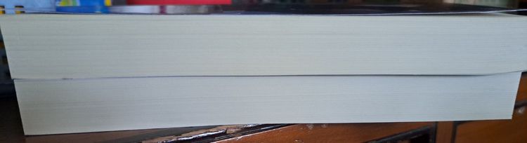 นิยายจีน พวกท่านอย่ารังแกศิษย์พี่ของข้านะ รูปที่ 5