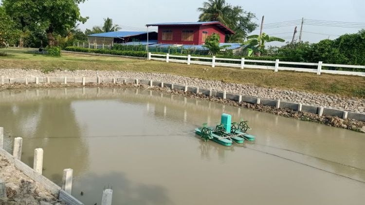 รับทำบ่อปลาคาร์ฟ,บ่อน้ำพุ,น้ำล้น,ซ่อมบ่อรั่ว,บ่อร้าว,รับเดินระบบกรองแก้ปัญหาน้ำขุ่นน้ำเขียว รูปที่ 10