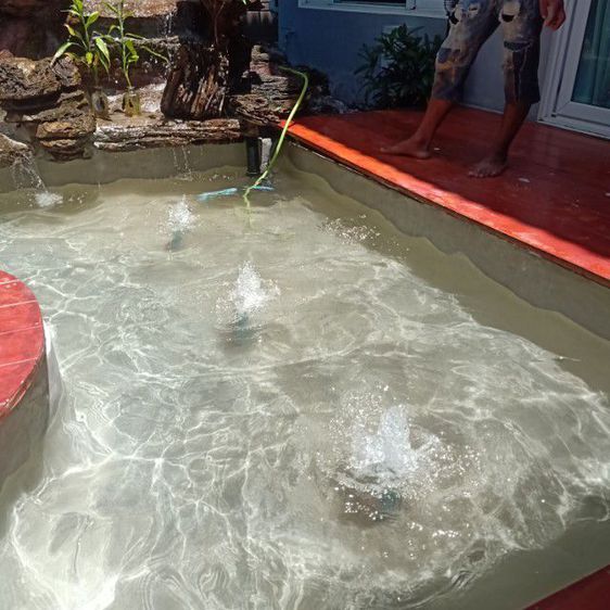รับแก้ระบบกรองในบ่อปลาคาร์ฟ,ซ่อมบ่อปลาคาร์ฟรั่ว,บ่อร้าว,รับทำบ่อปลาคาร์ฟ,ทำน้ำพุ,น้ำล้น รูปที่ 5